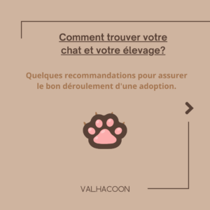 Comment trouvez votre chat et votre élevage