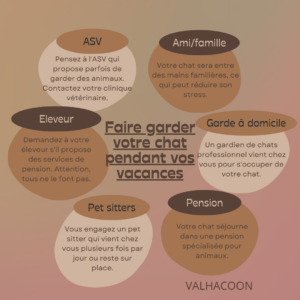 Garder votre chat pendant vos vavances