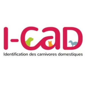 ICAD-Clinique-Veterinaire-Notre-Dame-Bondeville-02