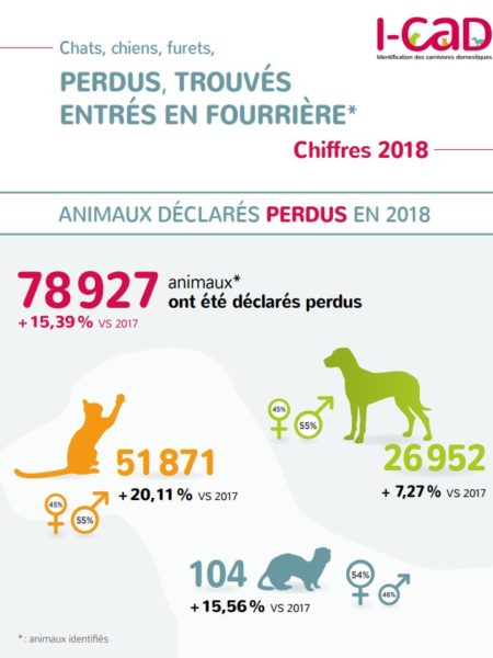 Perdu 2018