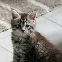 Una-du-valhacoon-200-4