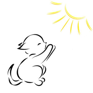 black outline drawing of a cat in the sun on a white background