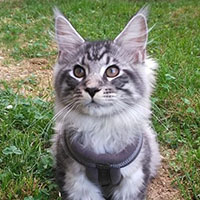 quartz-chatons-valhacoon VALHACOON