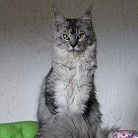 sirilla-valhacoon-savoie VALHACOON