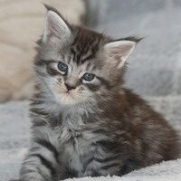 una-du-valhacoon-200-3